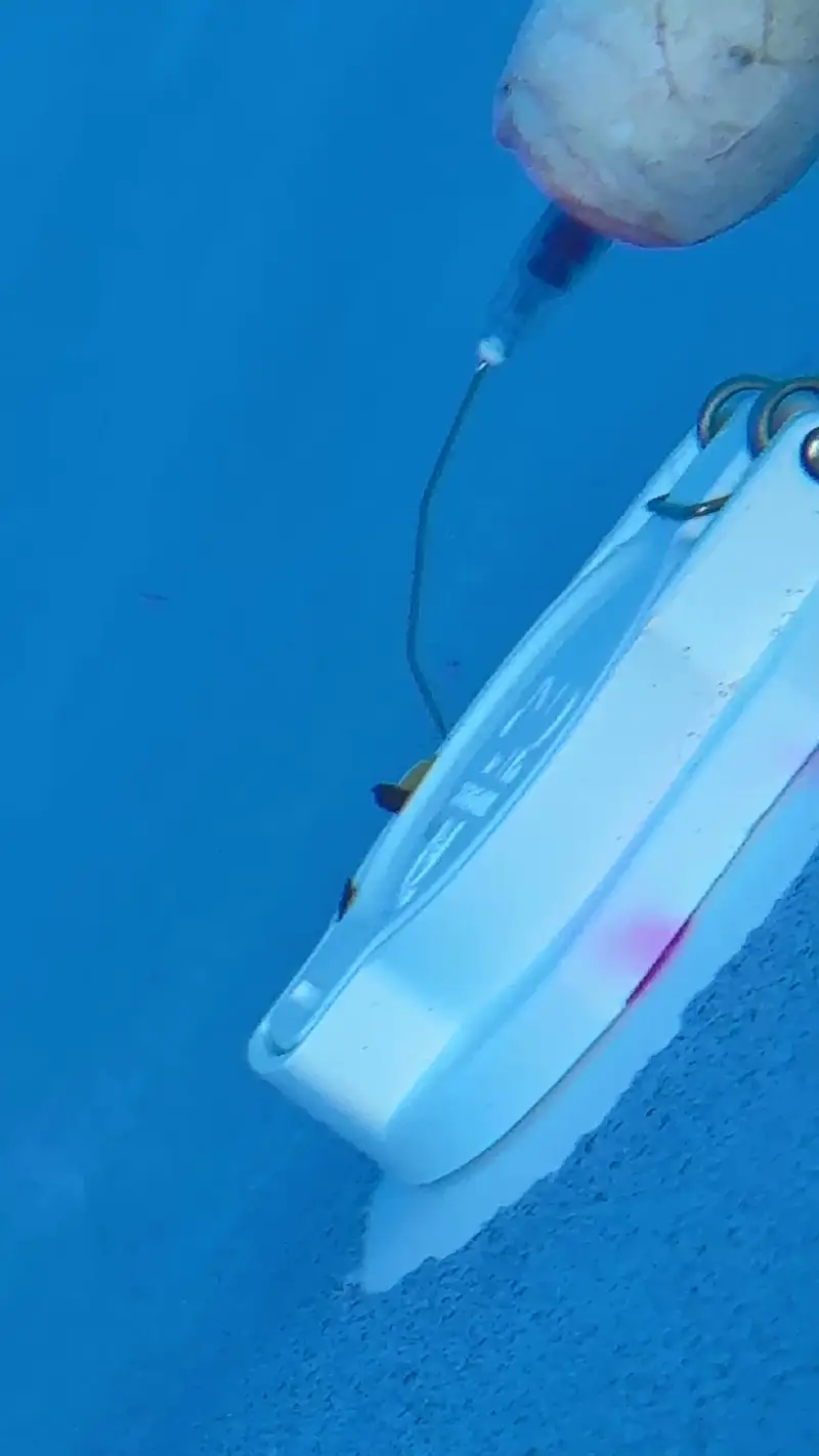Pool Leak Detection Parkland FL - We found a broken cleaner pipe - See the dye pull