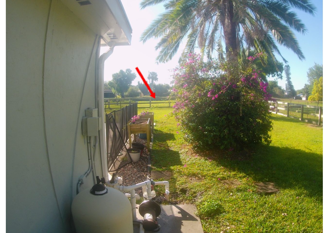 Backyard view toward a canal with an arrow marking the location of the backwash discharge point